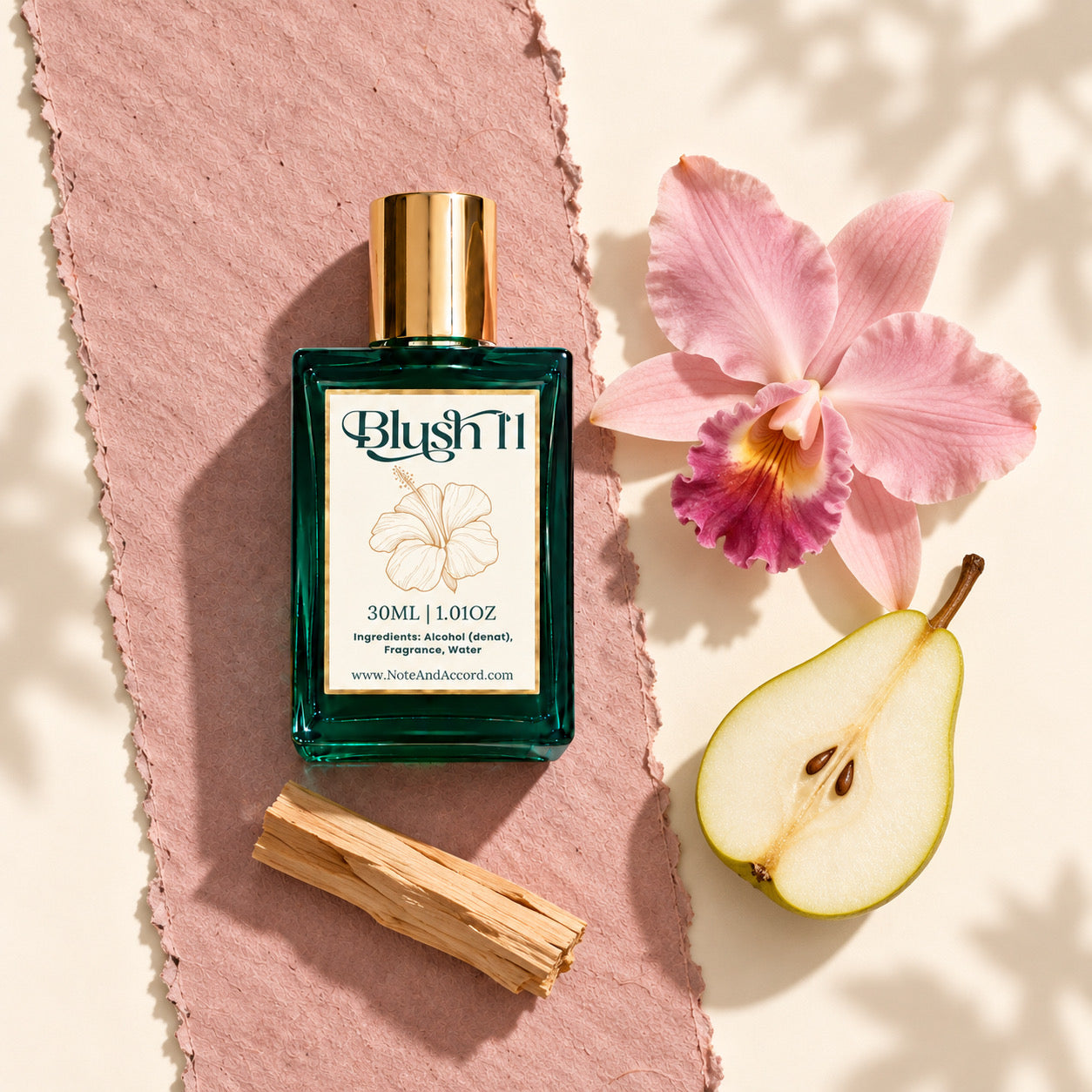A dedicated fragrance house in Charlotte and Durham. – Note and Accord